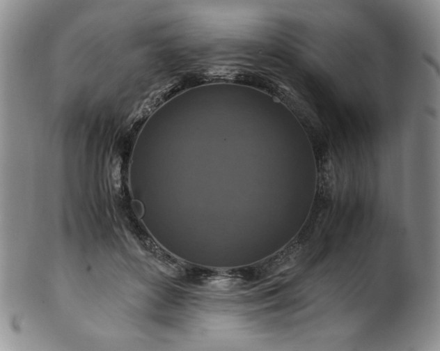 X0000101710504200807101608