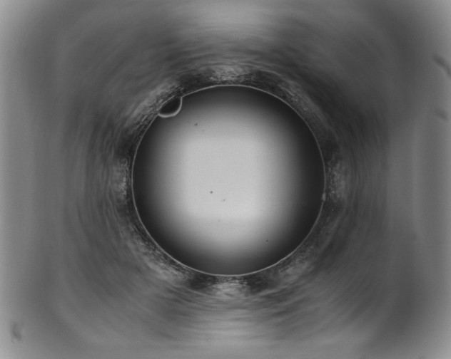 X0000101710505200807101608