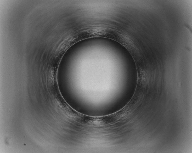 X0000101710506200807101608