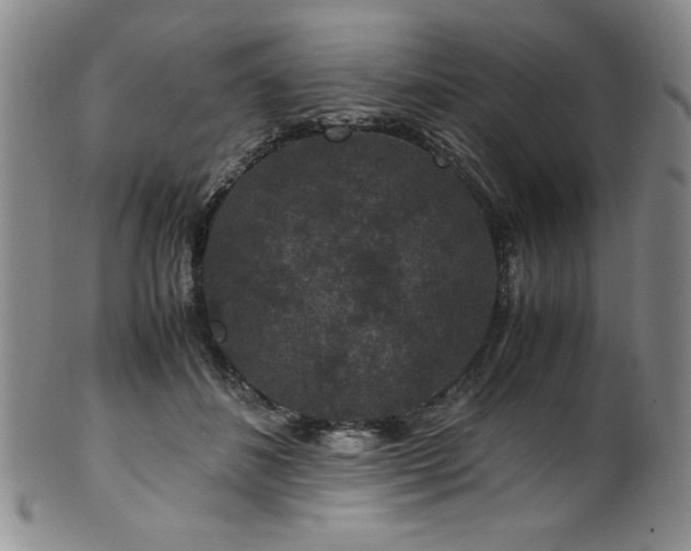 X0000101710508200807101608