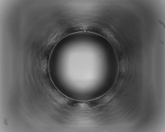X0000101710509200807101608