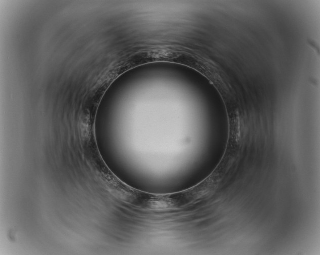 X0000101710510200807101608