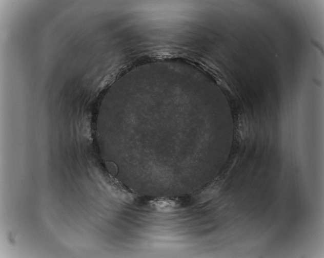 X0000101710512200807101608
