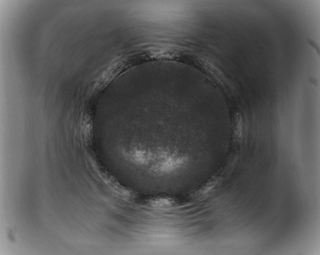 X0000101710513200807101608