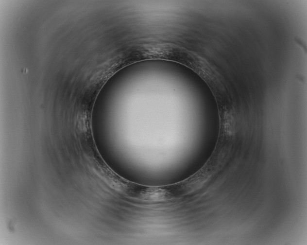 X0000101710514200807101608