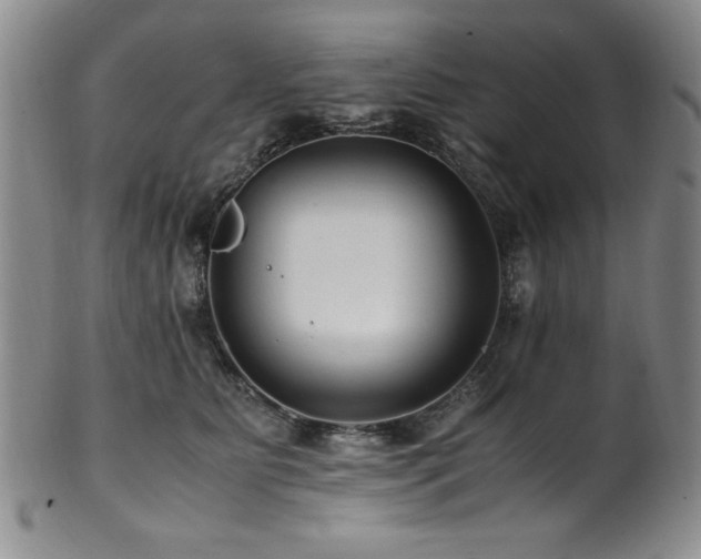 X0000101710515200807101608