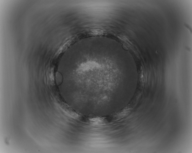 X0000101710516200807101608