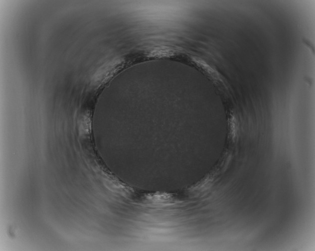 X0000101710517200807101608