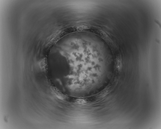 X0000101710519200807101608
