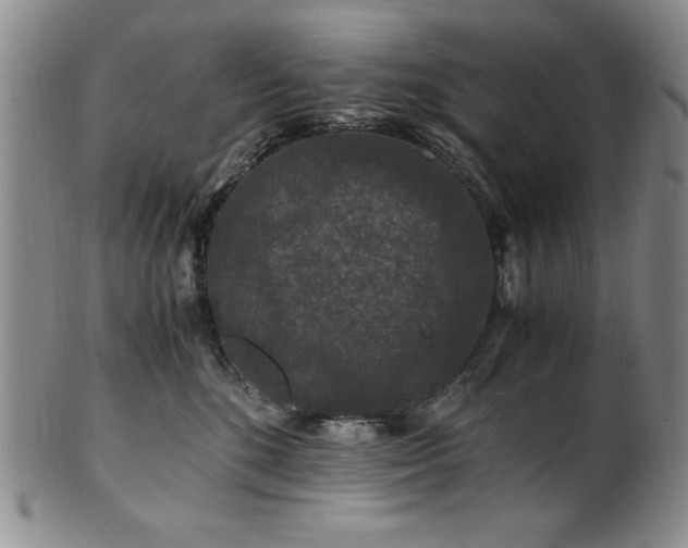 X0000101710520200807101608