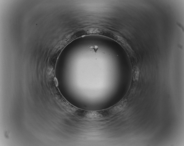 X0000101710521200807101608
