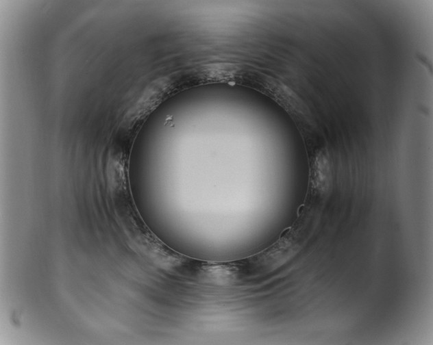 X0000101710522200807101608