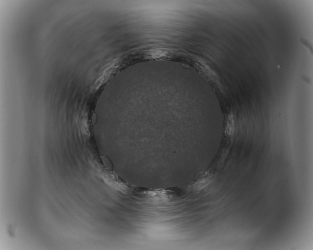 X0000101710524200807101608