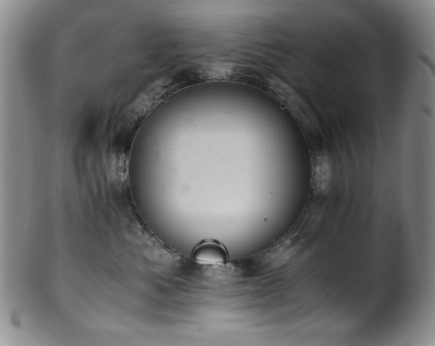 X0000101710525200807101608