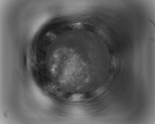 X0000101710526200807101608
