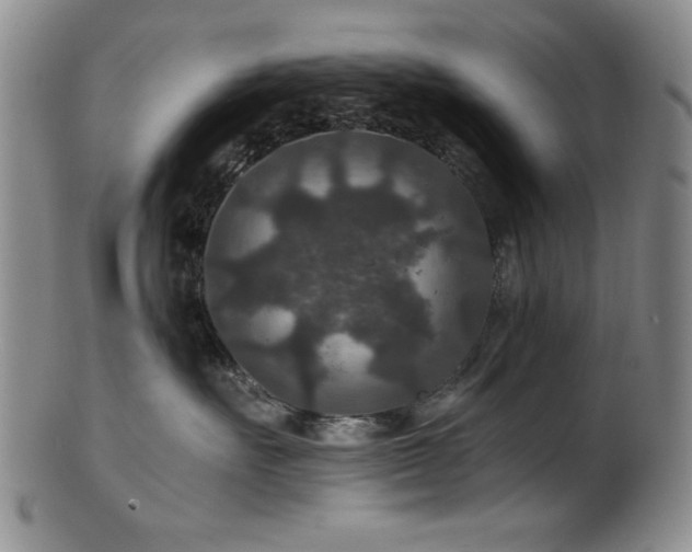 X0000101710527200807101608