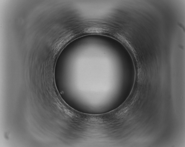 X0000101710529200807101607