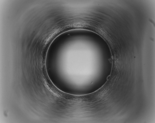 X0000101710530200807101607