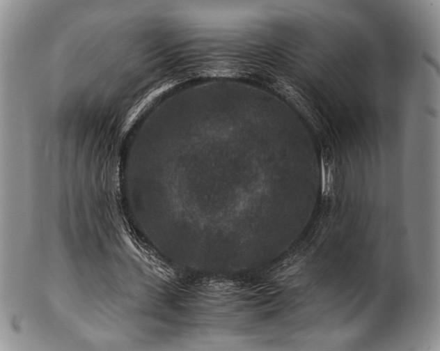 X0000101710531200807101607