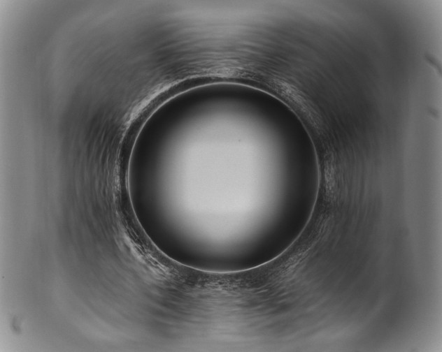 X0000101710532200807101607