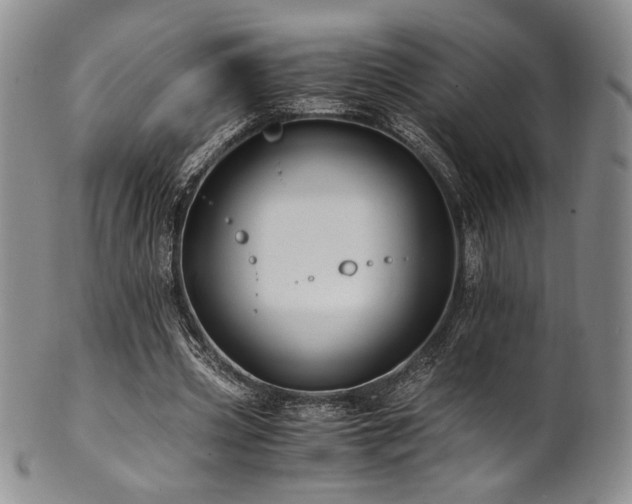 X0000101710533200807101607