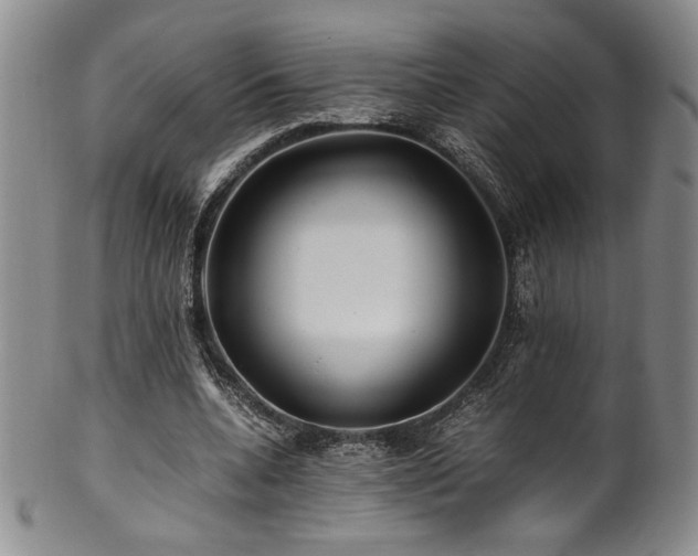 X0000101710536200807101607