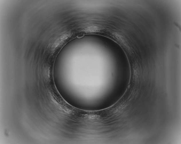 X0000101710539200807101607