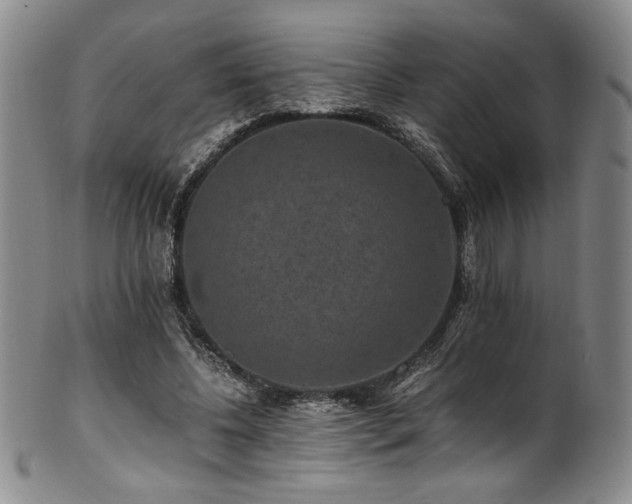 X0000101710540200807101607