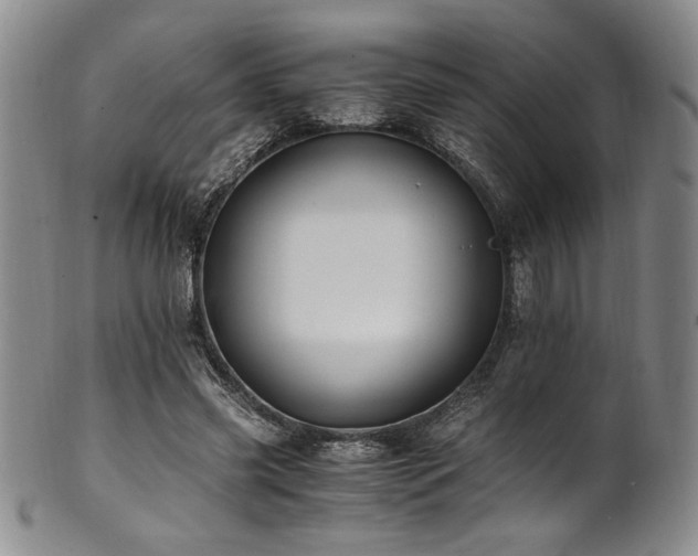 X0000101710541200807101607