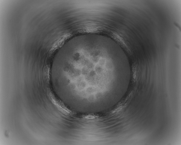 X0000101710542200807101607