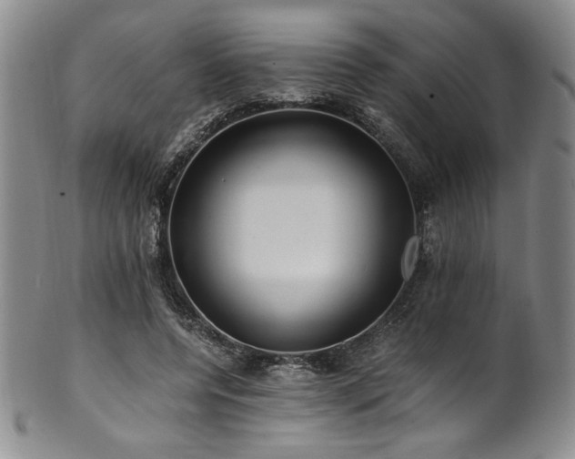 X0000101710544200807101607