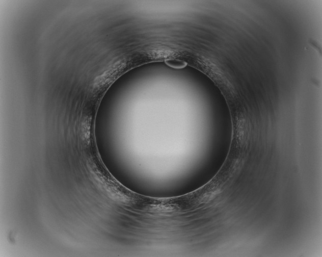 X0000101710545200807101607