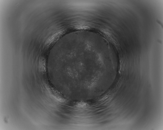 X0000101710547200807101607