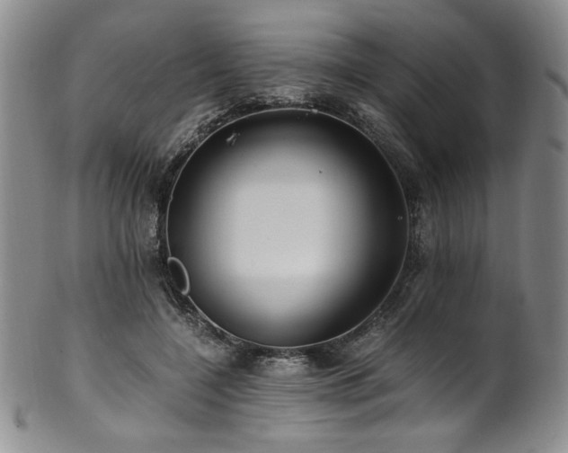 X0000101710548200807101607