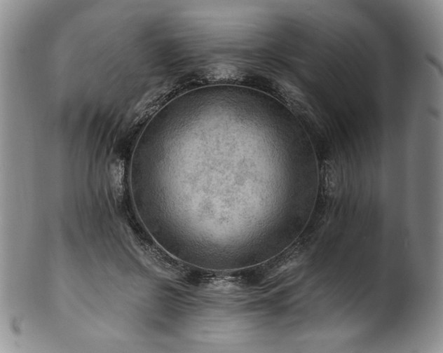 X0000101710550200807101607