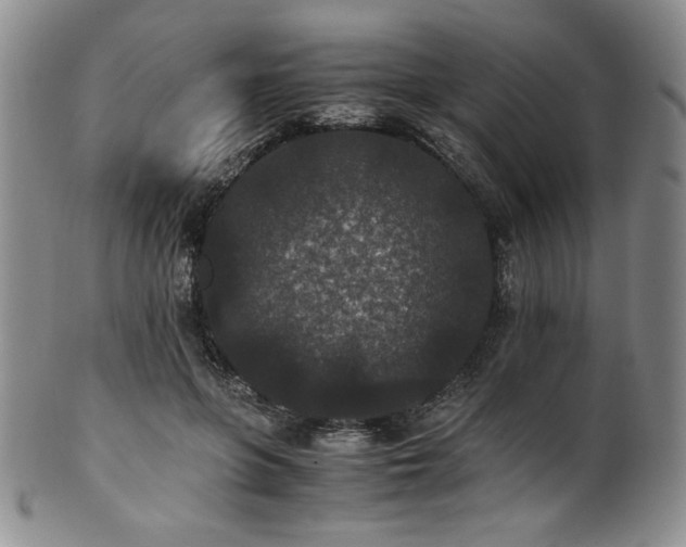 X0000101710551200807101607
