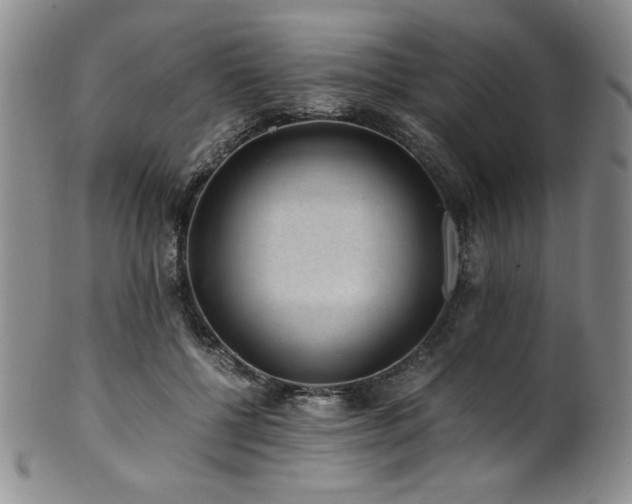 X0000101710552200807101607