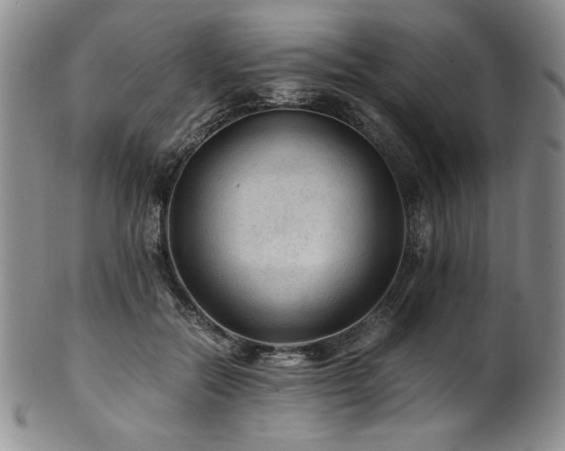 X0000101710554200807101607