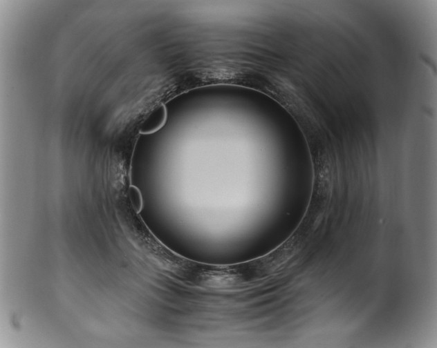 X0000101710555200807101607