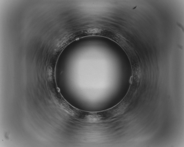 X0000101710556200807101607