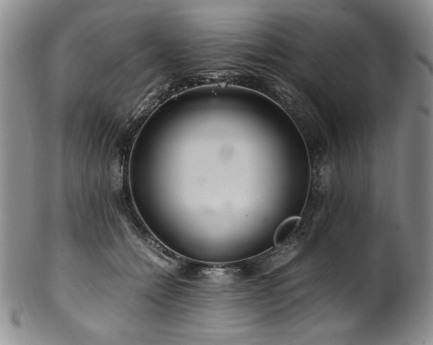 X0000101710558200807101607