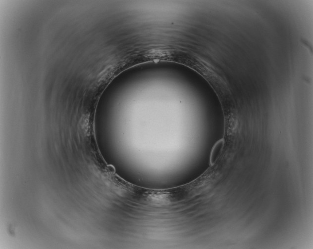 X0000101710560200807101607