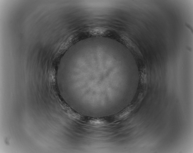X0000101710561200807101607