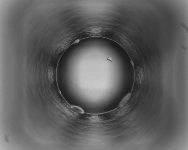 X0000101710562200807101607