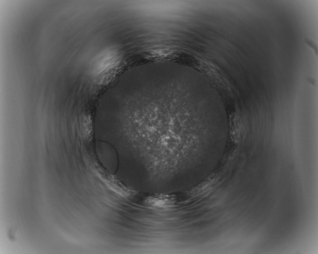 X0000101710563200807101607