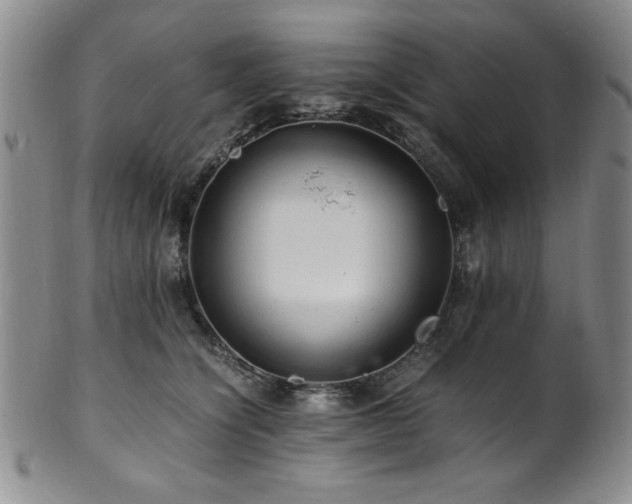X0000101710564200807101607