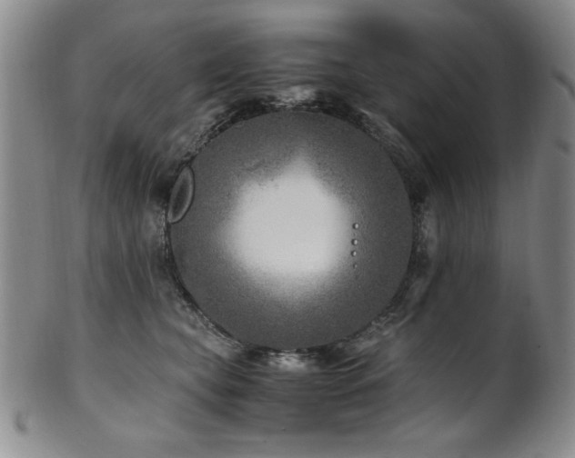 X0000101710565200807101607