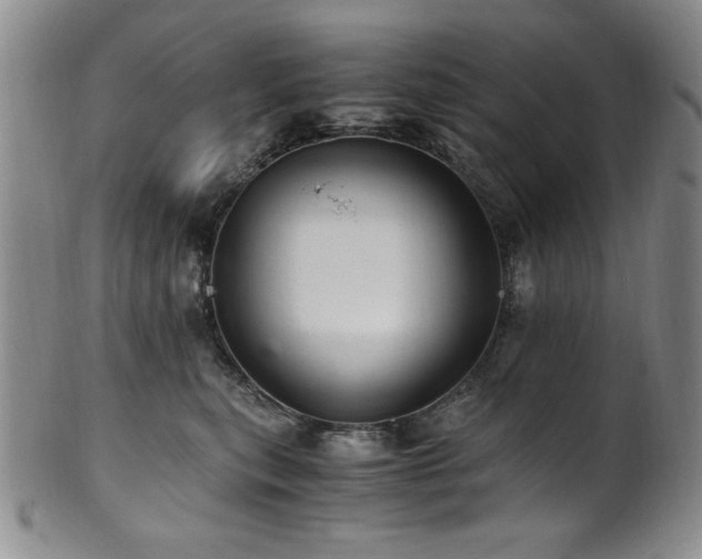 X0000101710567200807101607