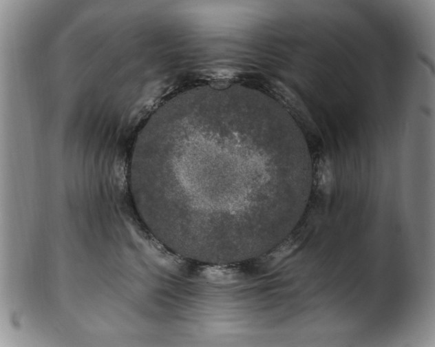 X0000101710568200807101608