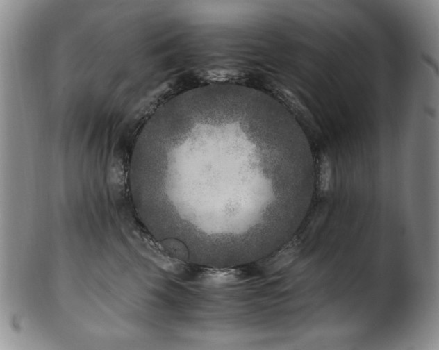 X0000101710569200807101608